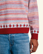 Pull Hugo - Bordeaux & Bleu