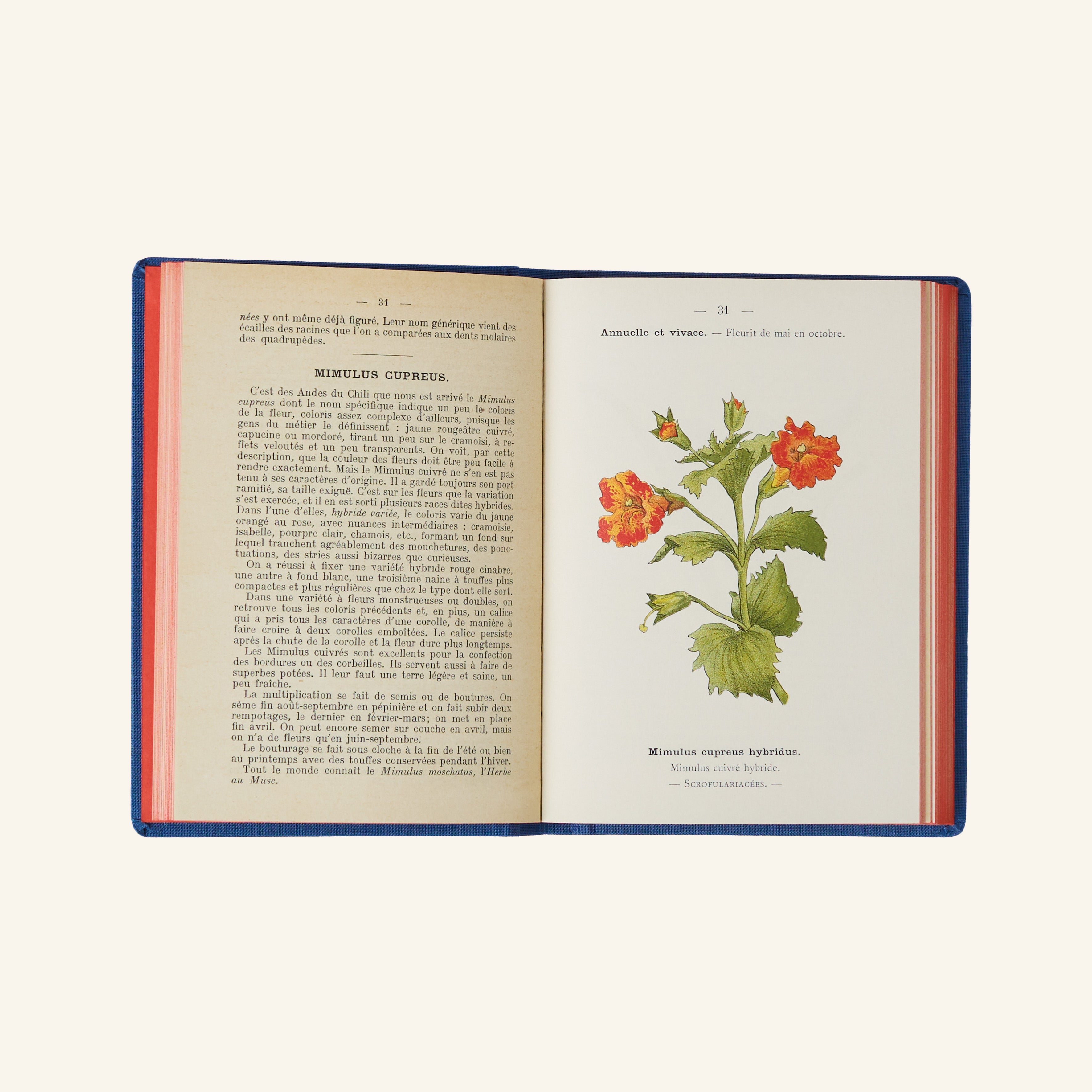Livre Atlas - Fleurs de Jardins