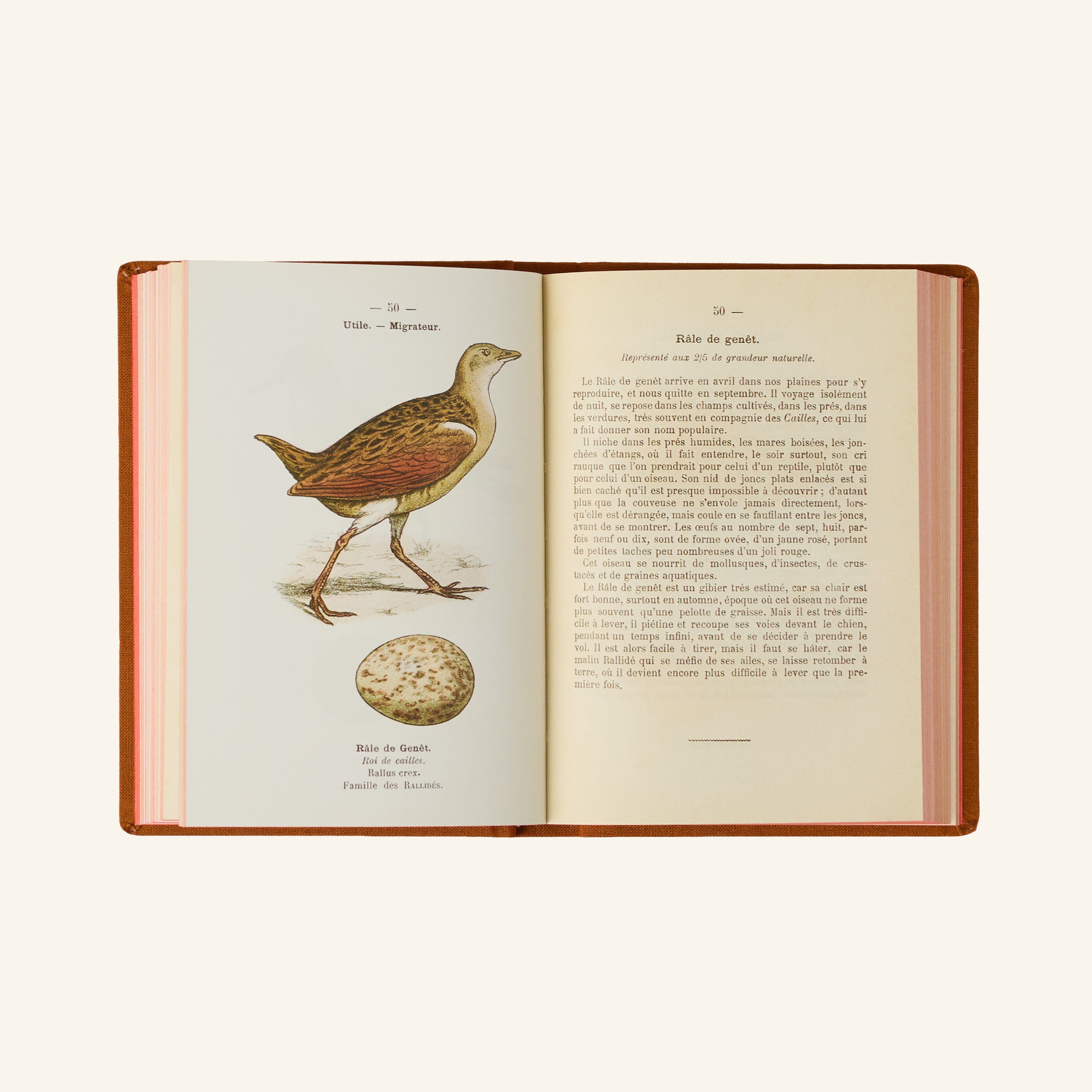 Atlas Book - Birds of France