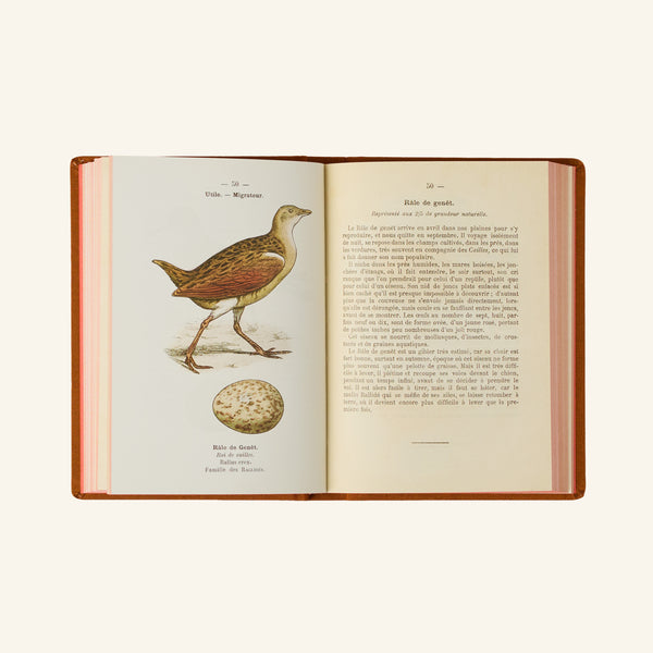 Atlas Book - Birds of France