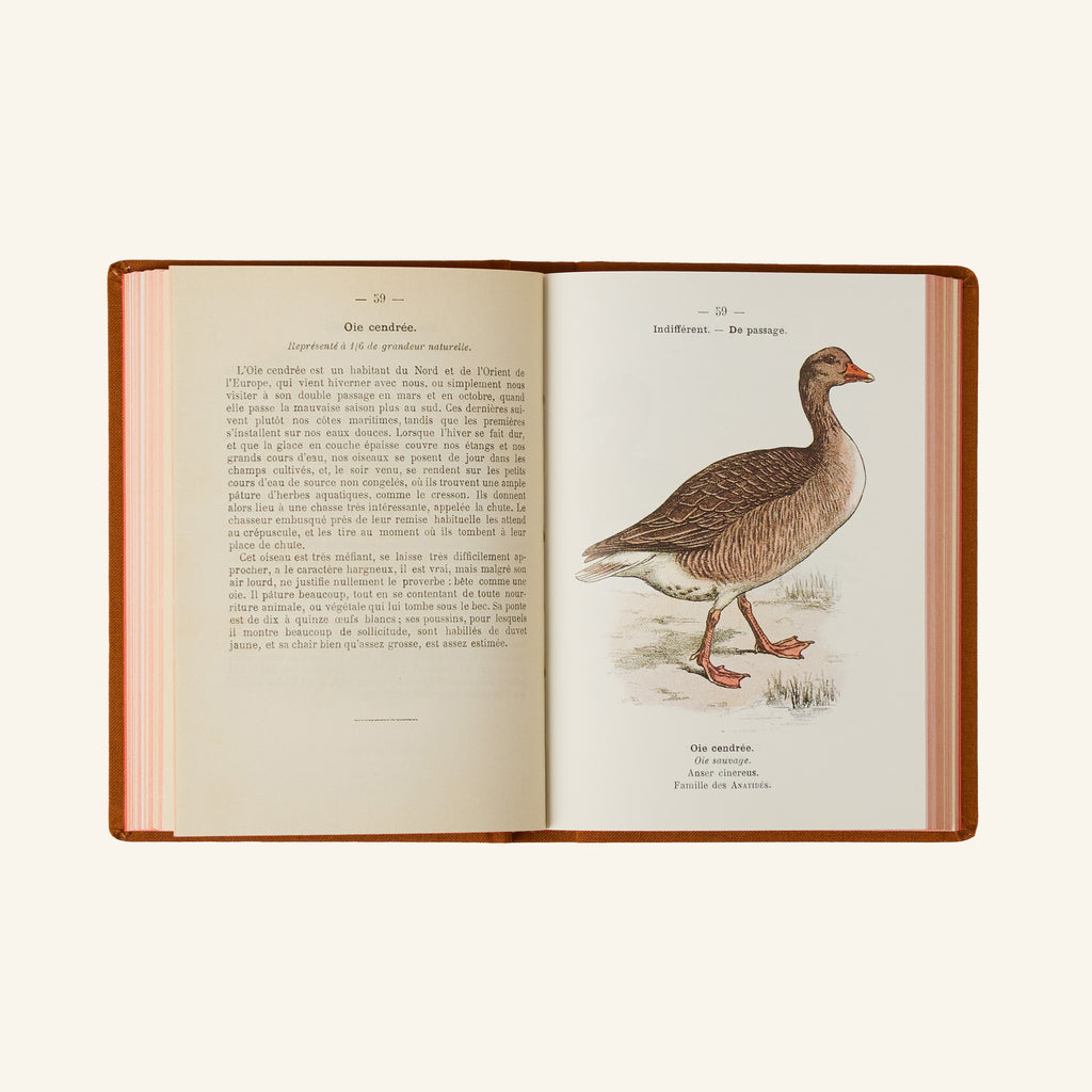 Atlas Book - Birds of France