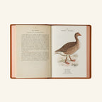 Atlas Book - Birds of France