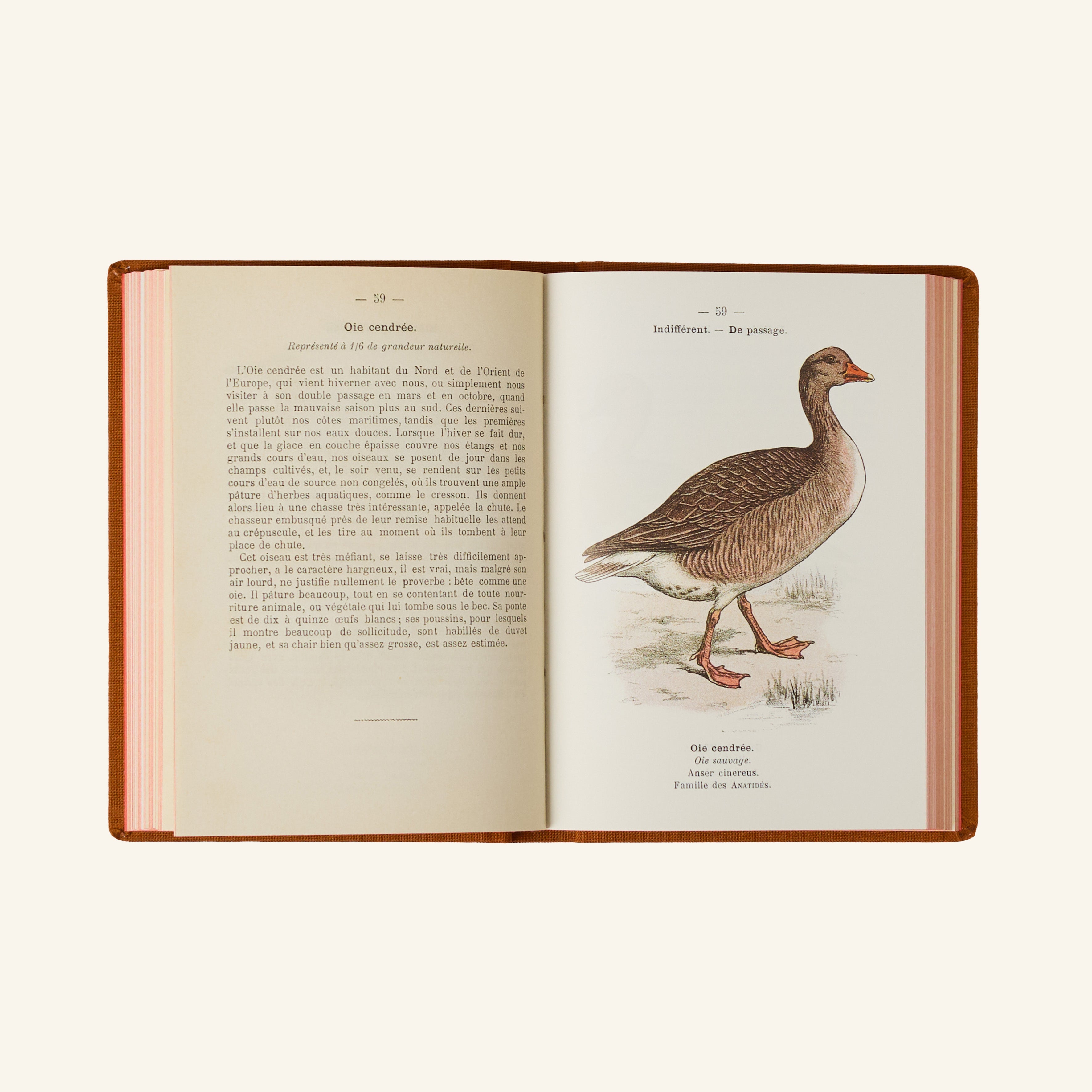Atlas Book - Birds of France