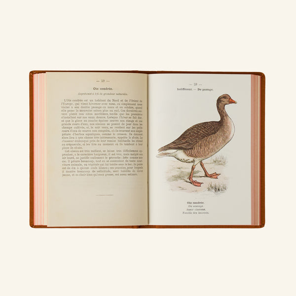 Atlas Book - Birds of France