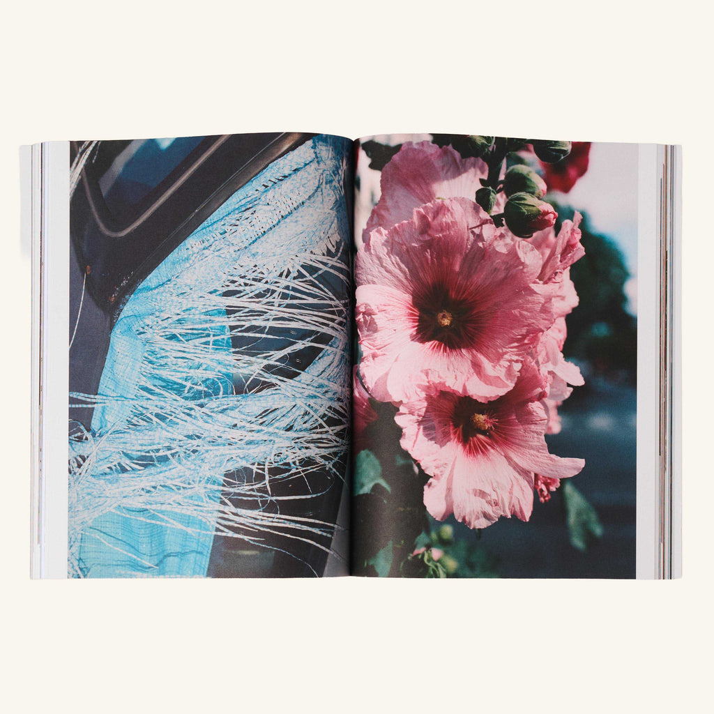 Livre - The Plant Journal