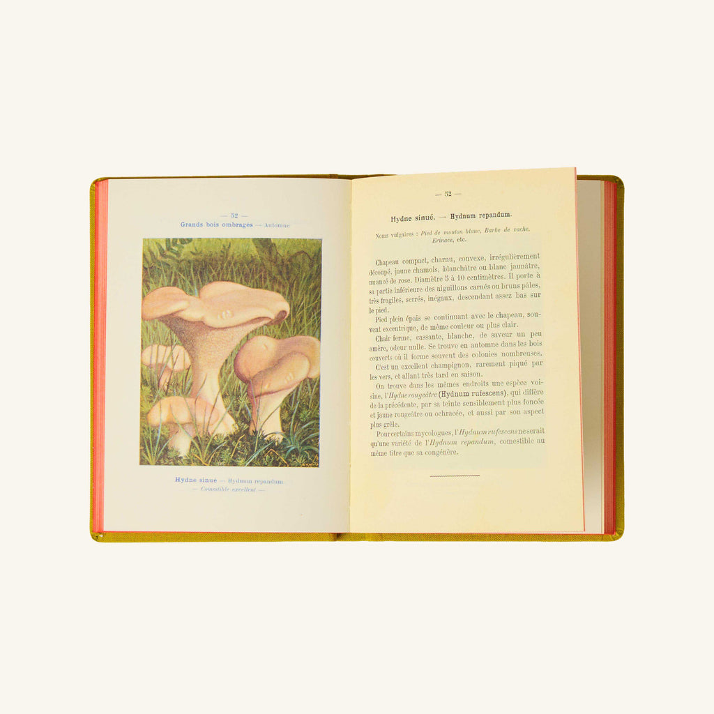 Livre Atlas - Champignons