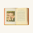 Livre Atlas - Champignons