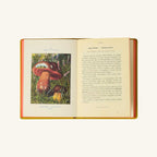 Livre Atlas - Champignons