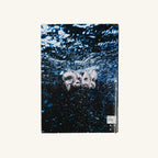 Book - Peak Volume 4