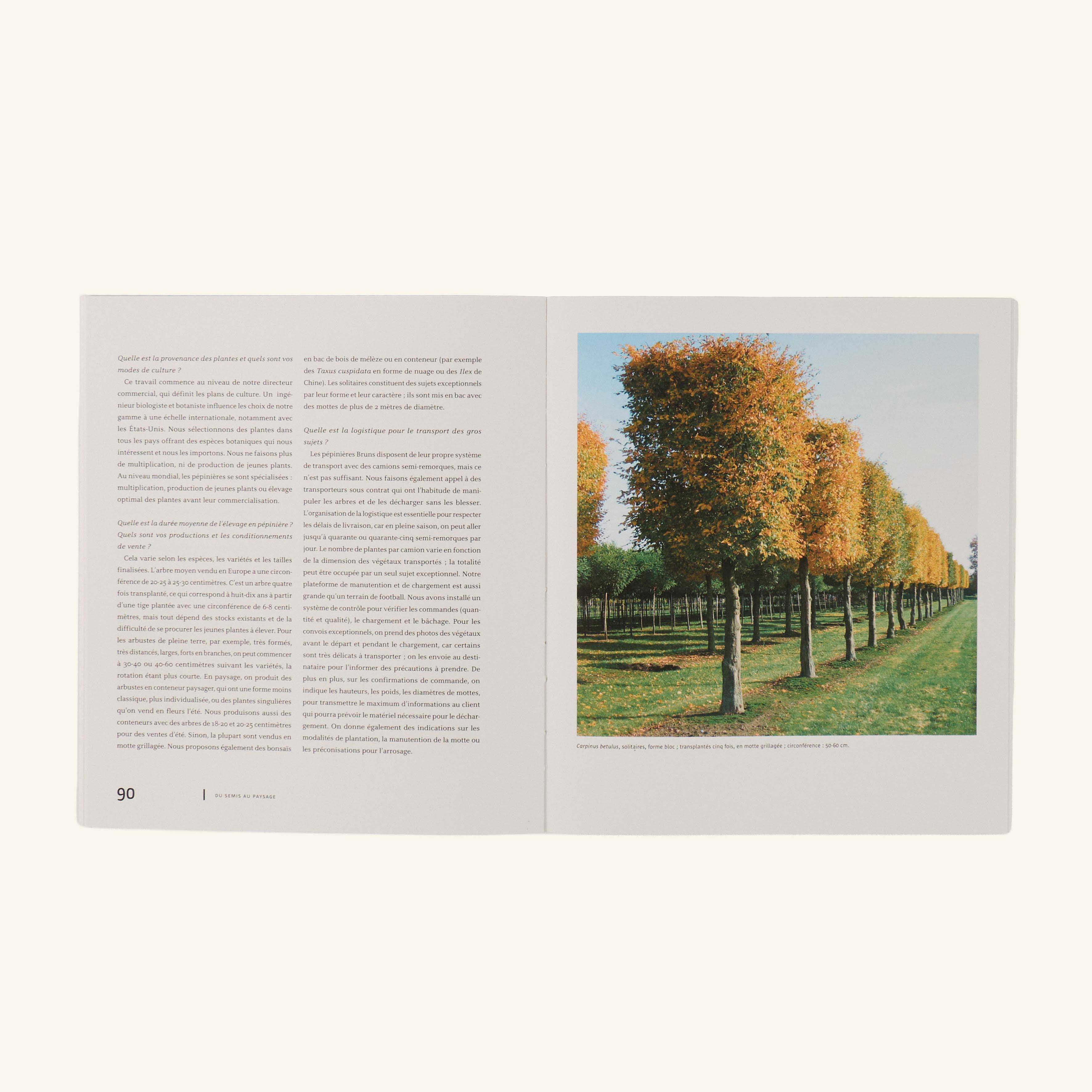 Livre - Carnets Paysages Plantes N°26
