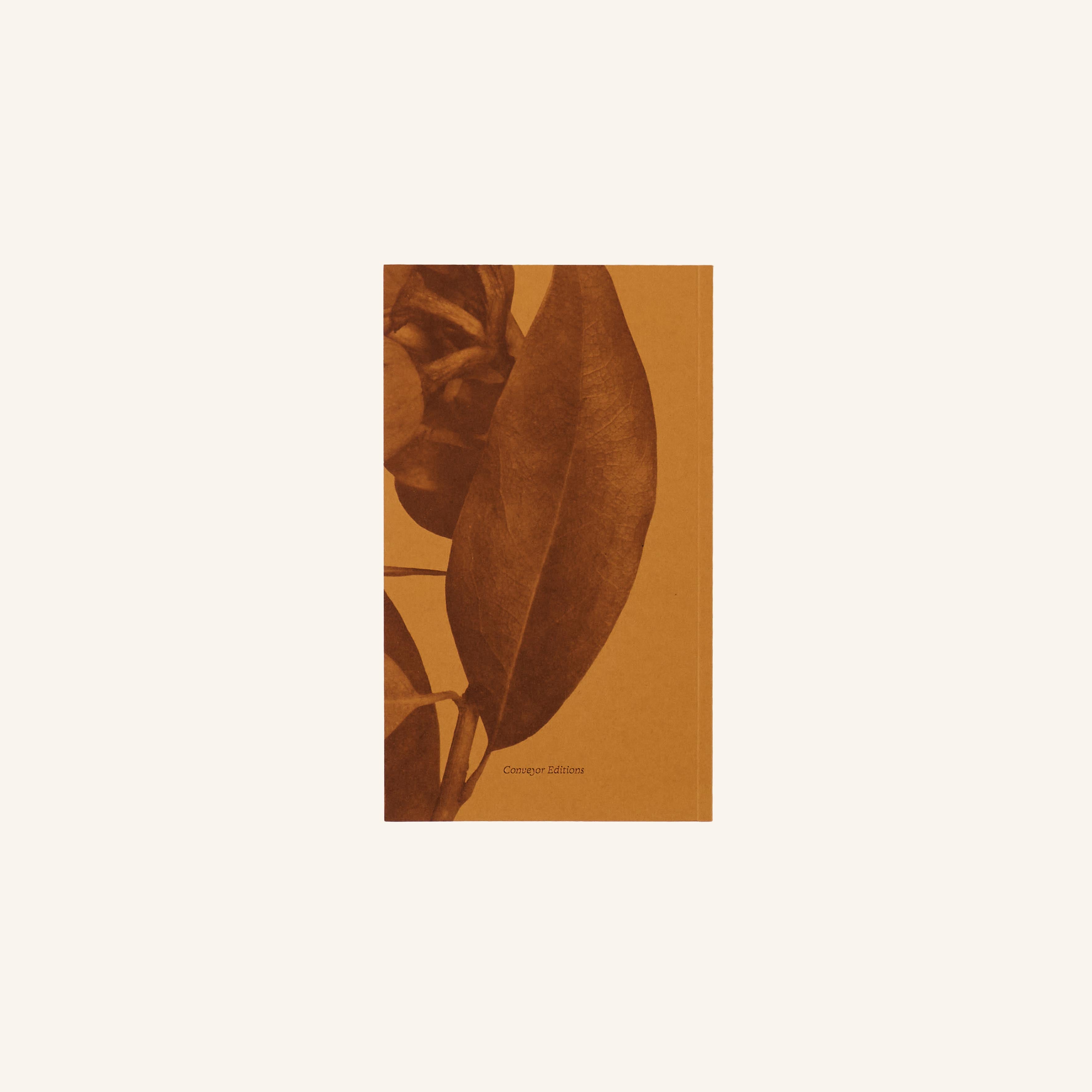 Book - A Tree Grows In Queens