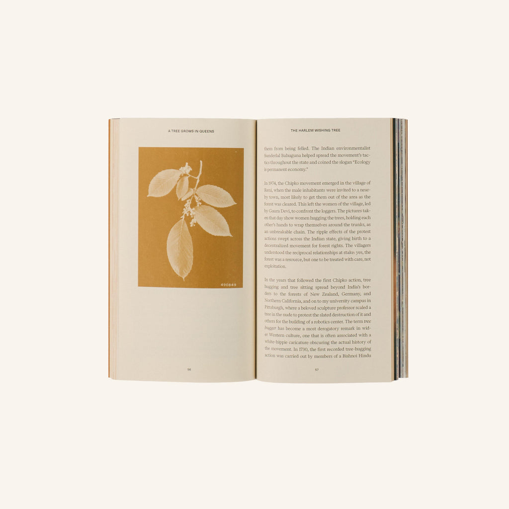 Book - A Tree Grows In Queens