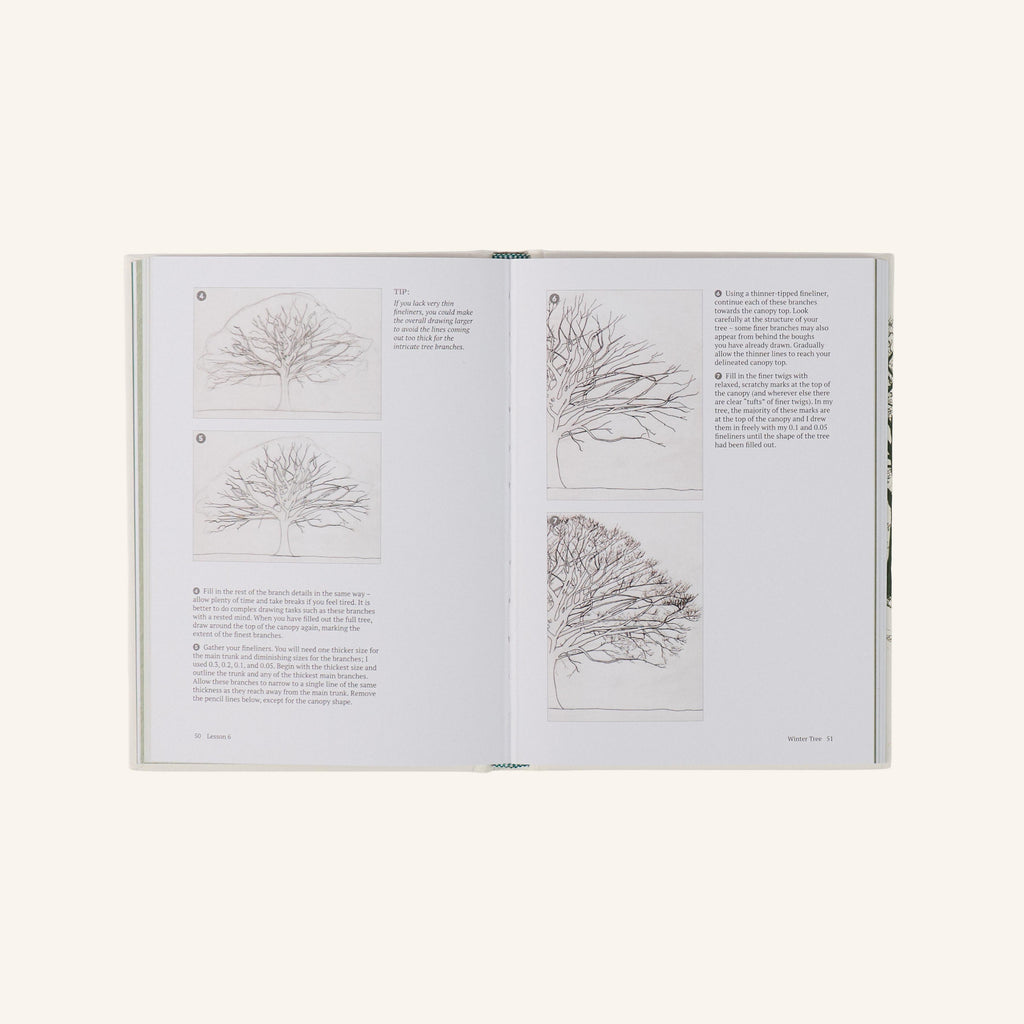 Livre - How to draw a tree