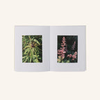 Livre - A garden Manifesto
