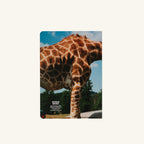 Livre - Animals - Martin Parr