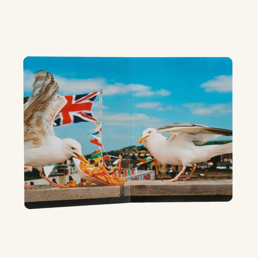Livre - Animals - Martin Parr