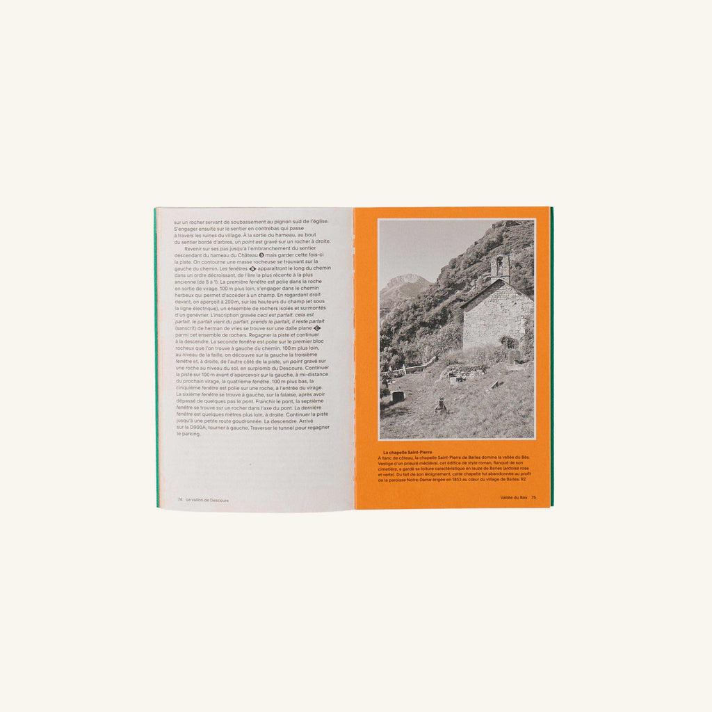 Livre - Nouvelle Flore des Alpes et des Pyrénées