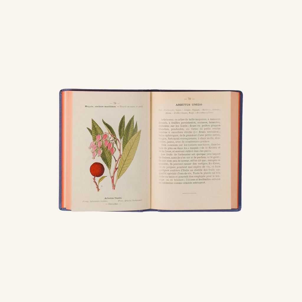 Livre - Flore du Littoral Mediteranneen