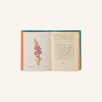 Livre - Nouvelle Flore des Alpes et des Pyrénées