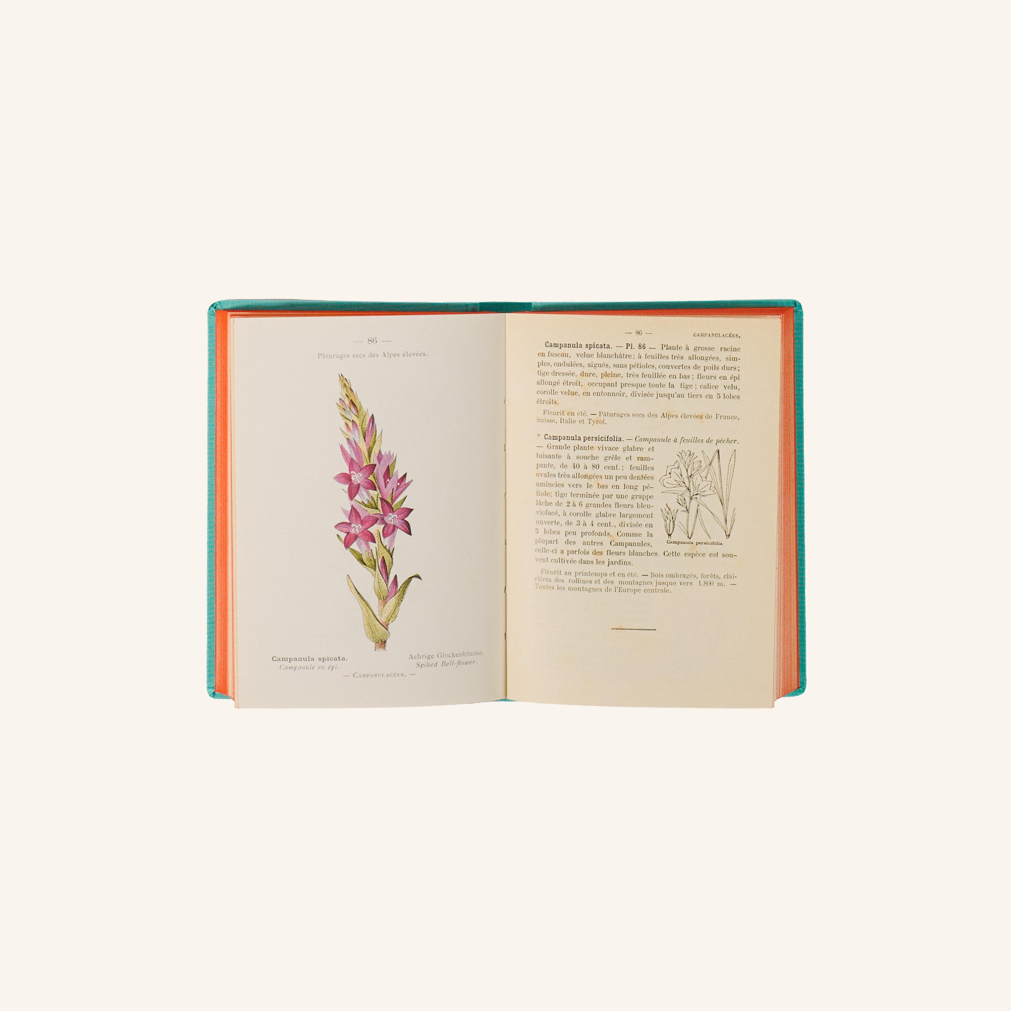 Livre - Nouvelle Flore des Alpes et des Pyrénées