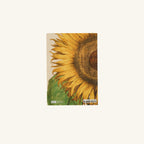 Livre - Herbiers - Cultiver son jardin