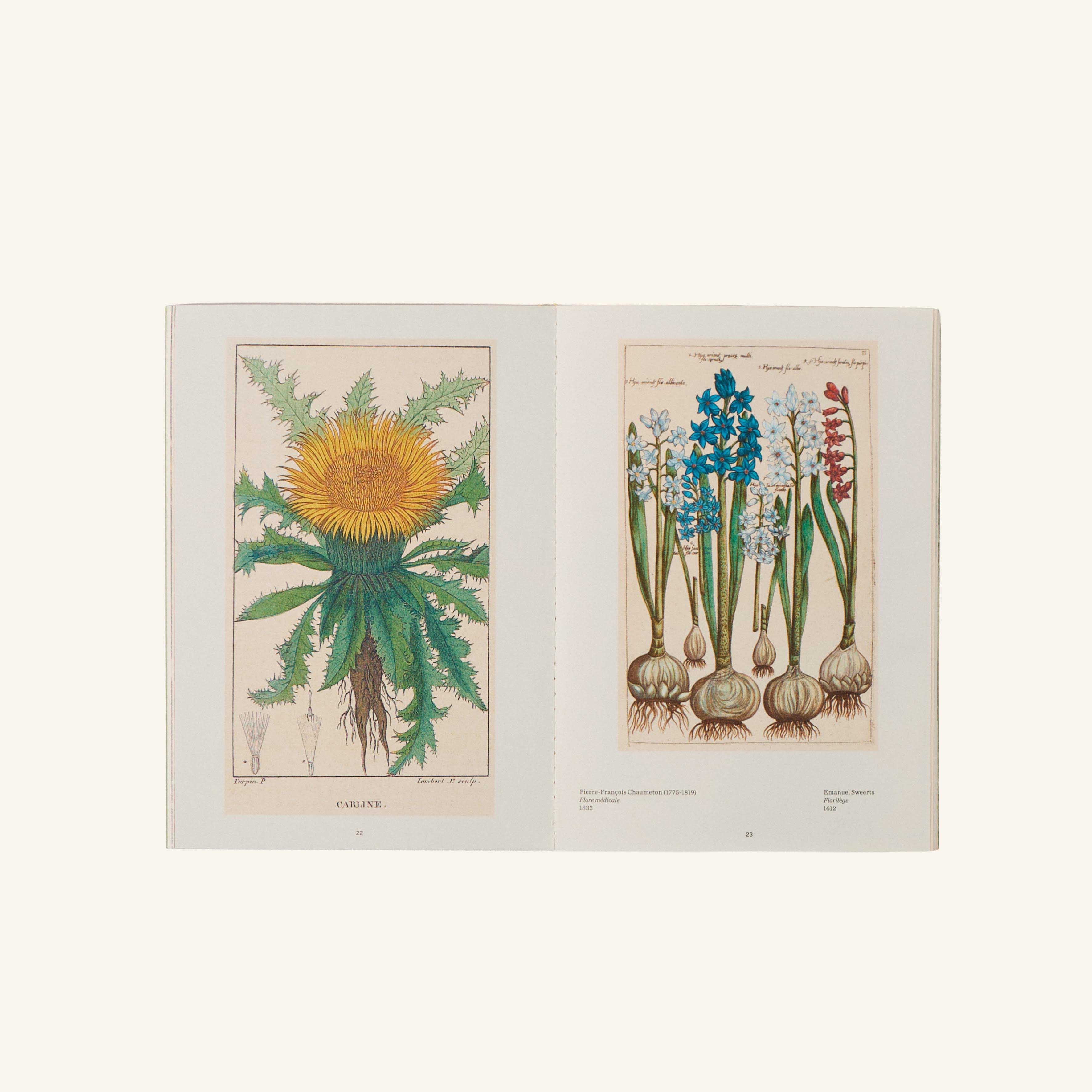 Livre - Herbiers - Cultiver son jardin