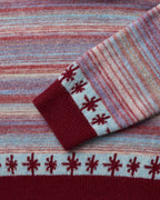 Pull Hugo - Bordeaux & Bleu