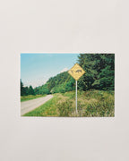 Au Vieux Campeur x Tripping with Phil - Carte Postale Route